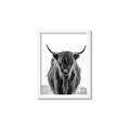 Picture of B&W Highland _GroupedProduct_Rectangle_Portrait_Photography _GroupedProduct_Rectangle_Portrait_Framed_Matted_
