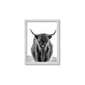 Picture of B&W Highland _GroupedProduct_Rectangle_Portrait_Photography _GroupedProduct_Rectangle_Portrait_Framed_Matted_