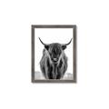 Picture of B&W Highland _GroupedProduct_Rectangle_Portrait_Photography _GroupedProduct_Rectangle_Portrait_Framed_Matted_