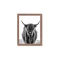 Picture of B&W Highland _GroupedProduct_Rectangle_Portrait_Photography _GroupedProduct_Rectangle_Portrait_Framed_Matted_