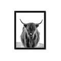 Picture of B&W Highland _GroupedProduct_Rectangle_Portrait_Photography _GroupedProduct_Rectangle_Portrait_Framed_Matted_
