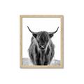 Picture of B&W Highland _GroupedProduct_Rectangle_Portrait_Photography _GroupedProduct_Rectangle_Portrait_Framed_Matted_