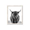 Picture of B&W Highland _GroupedProduct_Rectangle_Portrait_Photography _GroupedProduct_Rectangle_Portrait_Framed_Matted_