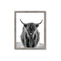 Picture of B&W Highland _GroupedProduct_Rectangle_Portrait_Photography _GroupedProduct_Rectangle_Portrait_Framed_Matted_