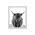 Picture of B&W Highland _GroupedProduct_Rectangle_Portrait_Photography _GroupedProduct_Rectangle_Portrait_Framed_Matted_