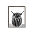 Picture of B&W Highland _GroupedProduct_Rectangle_Portrait_Photography _GroupedProduct_Rectangle_Portrait_Framed_Matted_