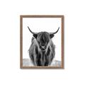 Picture of B&W Highland _GroupedProduct_Rectangle_Portrait_Photography _GroupedProduct_Rectangle_Portrait_Framed_Matted_