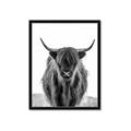 Picture of B&W Highland _GroupedProduct_Rectangle_Portrait_Photography _GroupedProduct_Rectangle_Portrait_Framed_Matted_