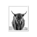 Picture of B&W Highland _GroupedProduct_Rectangle_Portrait_Photography _GroupedProduct_Rectangle_Portrait_Framed_Matted_
