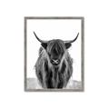 Picture of B&W Highland _GroupedProduct_Rectangle_Portrait_Photography _GroupedProduct_Rectangle_Portrait_Framed_Matted_
