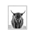 Picture of B&W Highland _GroupedProduct_Rectangle_Portrait_Photography _GroupedProduct_Rectangle_Portrait_Framed_Matted_