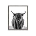 Picture of B&W Highland _GroupedProduct_Rectangle_Portrait_Photography _GroupedProduct_Rectangle_Portrait_Framed_Matted_