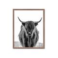 Picture of B&W Highland _GroupedProduct_Rectangle_Portrait_Photography _GroupedProduct_Rectangle_Portrait_Framed_Matted_