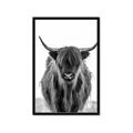 Picture of B&W Highland _GroupedProduct_Rectangle_Portrait_Photography _GroupedProduct_Rectangle_Portrait_Framed_Matted_