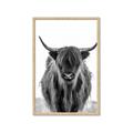 Picture of B&W Highland _GroupedProduct_Rectangle_Portrait_Photography _GroupedProduct_Rectangle_Portrait_Framed_Matted_