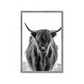 Picture of B&W Highland _GroupedProduct_Rectangle_Portrait_Photography _GroupedProduct_Rectangle_Portrait_Framed_Matted_