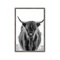 Picture of B&W Highland _GroupedProduct_Rectangle_Portrait_Photography _GroupedProduct_Rectangle_Portrait_Framed_Matted_