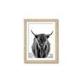 Picture of B&W Highland _GroupedProduct_Rectangle_Portrait_Photography _GroupedProduct_Rectangle_Portrait_Framed_Matted_