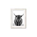 Picture of B&W Highland _GroupedProduct_Rectangle_Portrait_Photography _GroupedProduct_Rectangle_Portrait_Framed_Matted_