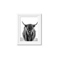 Picture of B&W Highland _GroupedProduct_Rectangle_Portrait_Photography _GroupedProduct_Rectangle_Portrait_Framed_Matted_