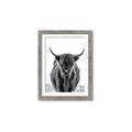 Picture of B&W Highland _GroupedProduct_Rectangle_Portrait_Photography _GroupedProduct_Rectangle_Portrait_Framed_Matted_