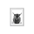 Picture of B&W Highland _GroupedProduct_Rectangle_Portrait_Photography _GroupedProduct_Rectangle_Portrait_Framed_Matted_
