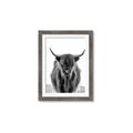 Picture of B&W Highland _GroupedProduct_Rectangle_Portrait_Photography _GroupedProduct_Rectangle_Portrait_Framed_Matted_