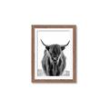 Picture of B&W Highland _GroupedProduct_Rectangle_Portrait_Photography _GroupedProduct_Rectangle_Portrait_Framed_Matted_