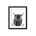 Picture of B&W Highland _GroupedProduct_Rectangle_Portrait_Photography _GroupedProduct_Rectangle_Portrait_Framed_Matted_