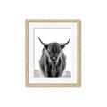 Picture of B&W Highland _GroupedProduct_Rectangle_Portrait_Photography _GroupedProduct_Rectangle_Portrait_Framed_Matted_