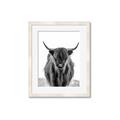 Picture of B&W Highland _GroupedProduct_Rectangle_Portrait_Photography _GroupedProduct_Rectangle_Portrait_Framed_Matted_