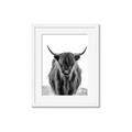 Picture of B&W Highland _GroupedProduct_Rectangle_Portrait_Photography _GroupedProduct_Rectangle_Portrait_Framed_Matted_