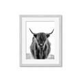Picture of B&W Highland _GroupedProduct_Rectangle_Portrait_Photography _GroupedProduct_Rectangle_Portrait_Framed_Matted_
