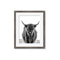 Picture of B&W Highland _GroupedProduct_Rectangle_Portrait_Photography _GroupedProduct_Rectangle_Portrait_Framed_Matted_