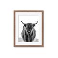 Picture of B&W Highland _GroupedProduct_Rectangle_Portrait_Photography _GroupedProduct_Rectangle_Portrait_Framed_Matted_