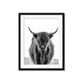 Picture of B&W Highland _GroupedProduct_Rectangle_Portrait_Photography _GroupedProduct_Rectangle_Portrait_Framed_Matted_