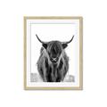 Picture of B&W Highland _GroupedProduct_Rectangle_Portrait_Photography _GroupedProduct_Rectangle_Portrait_Framed_Matted_