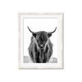 Picture of B&W Highland _GroupedProduct_Rectangle_Portrait_Photography _GroupedProduct_Rectangle_Portrait_Framed_Matted_