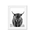 Picture of B&W Highland _GroupedProduct_Rectangle_Portrait_Photography _GroupedProduct_Rectangle_Portrait_Framed_Matted_