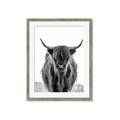 Picture of B&W Highland _GroupedProduct_Rectangle_Portrait_Photography _GroupedProduct_Rectangle_Portrait_Framed_Matted_