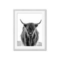 Picture of B&W Highland _GroupedProduct_Rectangle_Portrait_Photography _GroupedProduct_Rectangle_Portrait_Framed_Matted_