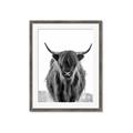 Picture of B&W Highland _GroupedProduct_Rectangle_Portrait_Photography _GroupedProduct_Rectangle_Portrait_Framed_Matted_