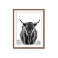 Picture of B&W Highland _GroupedProduct_Rectangle_Portrait_Photography _GroupedProduct_Rectangle_Portrait_Framed_Matted_