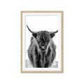 Picture of B&W Highland _GroupedProduct_Rectangle_Portrait_Photography _GroupedProduct_Rectangle_Portrait_Framed_Matted_