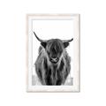 Picture of B&W Highland _GroupedProduct_Rectangle_Portrait_Photography _GroupedProduct_Rectangle_Portrait_Framed_Matted_