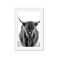 Picture of B&W Highland _GroupedProduct_Rectangle_Portrait_Photography _GroupedProduct_Rectangle_Portrait_Framed_Matted_