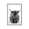Picture of B&W Highland _GroupedProduct_Rectangle_Portrait_Photography _GroupedProduct_Rectangle_Portrait_Framed_Matted_