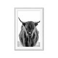 Picture of B&W Highland _GroupedProduct_Rectangle_Portrait_Photography _GroupedProduct_Rectangle_Portrait_Framed_Matted_