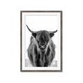 Picture of B&W Highland _GroupedProduct_Rectangle_Portrait_Photography _GroupedProduct_Rectangle_Portrait_Framed_Matted_