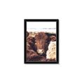 Picture of Snuggled Highland _GroupedProduct_Rectangle_Portrait_Photography _GroupedProduct_Rectangle_Portrait_Framed_Matted_